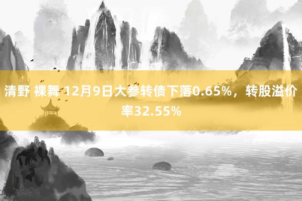 清野 裸舞 12月9日大参转债下落0.65%，转股溢价率32.55%