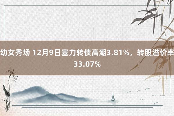 幼女秀场 12月9日塞力转债高潮3.81%，转股溢价率33.07%