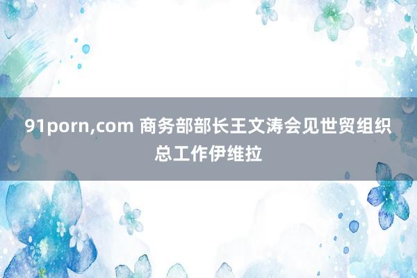 91porn，com 商务部部长王文涛会见世贸组织总工作伊维拉