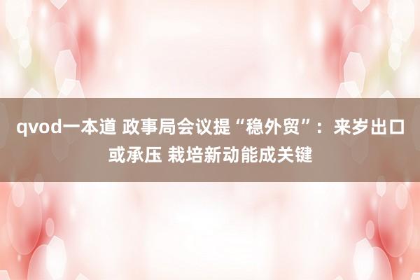 qvod一本道 政事局会议提“稳外贸”：来岁出口或承压 栽培新动能成关键