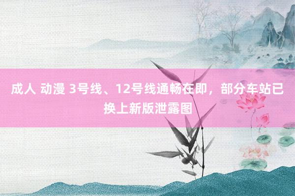 成人 动漫 3号线、12号线通畅在即，部分车站已换上新版泄露图