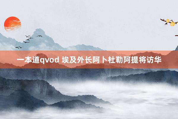 一本道qvod 埃及外长阿卜杜勒阿提将访华
