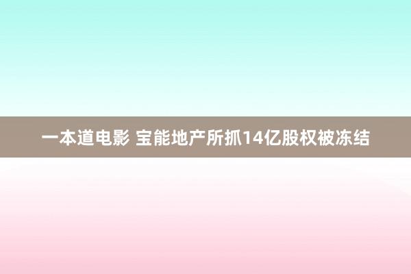 一本道电影 宝能地产所抓14亿股权被冻结