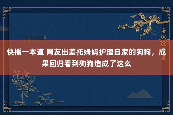 快播一本道 网友出差托姆妈护理自家的狗狗，成果回归看到狗狗造成了这么