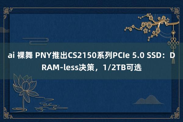 ai 裸舞 PNY推出CS2150系列PCIe 5.0 SSD：DRAM-less决策，1/2TB可选