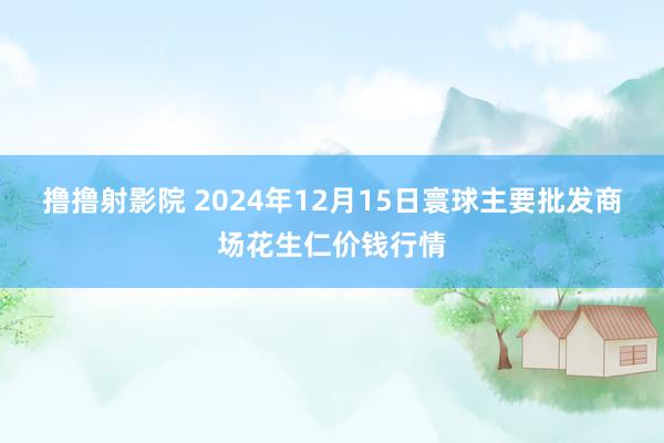 撸撸射影院 2024年12月15日寰球主要批发商场花生仁价钱行情