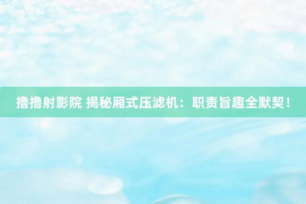 撸撸射影院 揭秘厢式压滤机：职责旨趣全默契！