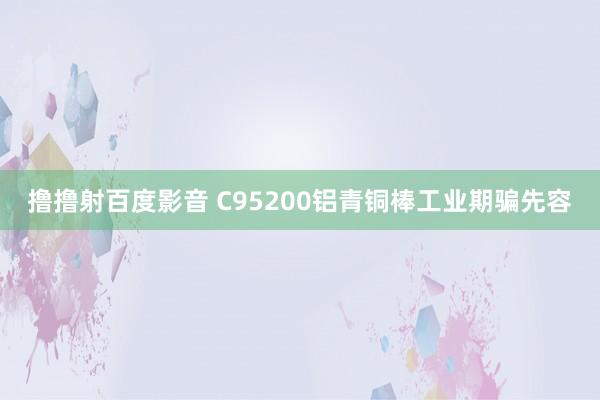 撸撸射百度影音 C95200铝青铜棒工业期骗先容