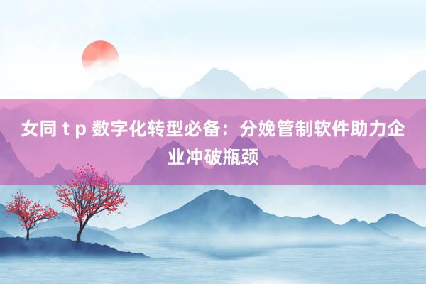 女同 t p 数字化转型必备：分娩管制软件助力企业冲破瓶颈