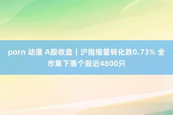 porn 动漫 A股收盘｜沪指缩量转化跌0.73% 全市集下落个股近4800只