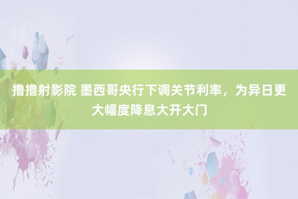 撸撸射影院 墨西哥央行下调关节利率，为异日更大幅度降息大开大门