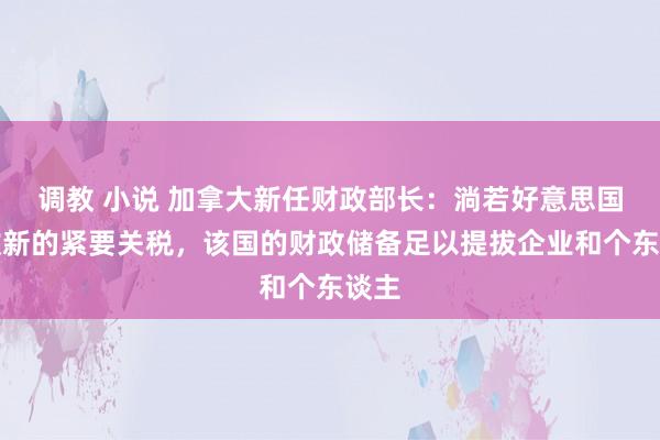 调教 小说 加拿大新任财政部长：淌若好意思国征收新的紧要关税，该国的财政储备足以提拔企业和个东谈主