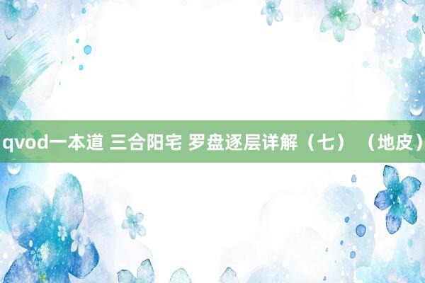 qvod一本道 三合阳宅 罗盘逐层详解（七） （地皮）