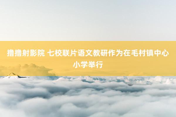 撸撸射影院 七校联片语文教研作为在毛村镇中心小学举行