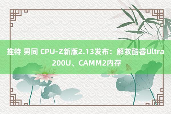 推特 男同 CPU-Z新版2.13发布：解救酷睿Ultra 200U、CAMM2内存