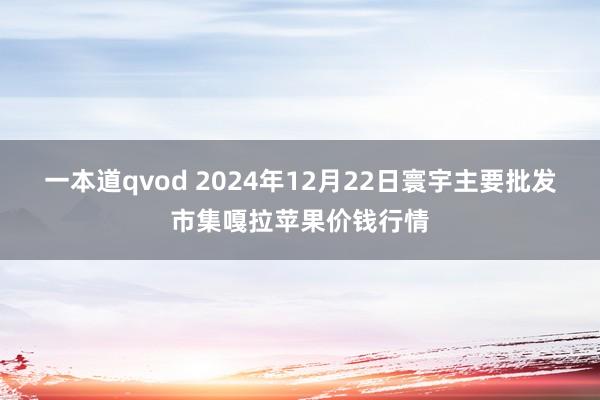 一本道qvod 2024年12月22日寰宇主要批发市集嘎拉苹果价钱行情
