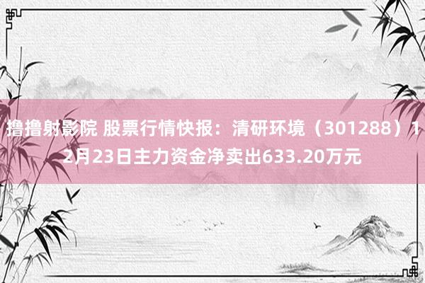 撸撸射影院 股票行情快报：清研环境（301288）12月23日主力资金净卖出633.20万元