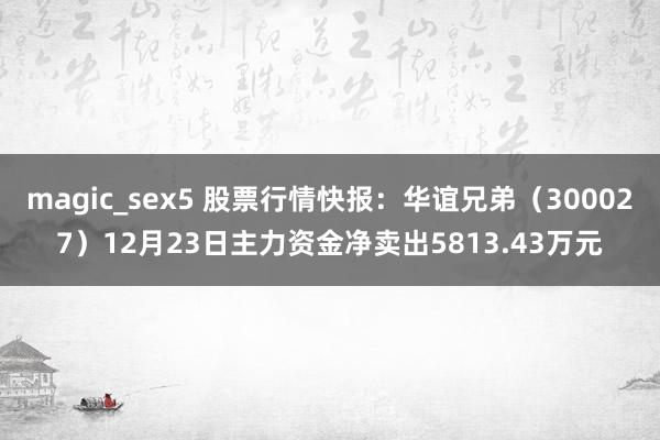 magic_sex5 股票行情快报：华谊兄弟（300027）12月23日主力资金净卖出5813.43万元