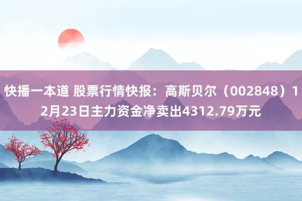 快播一本道 股票行情快报：高斯贝尔（002848）12月23日主力资金净卖出4312.79万元