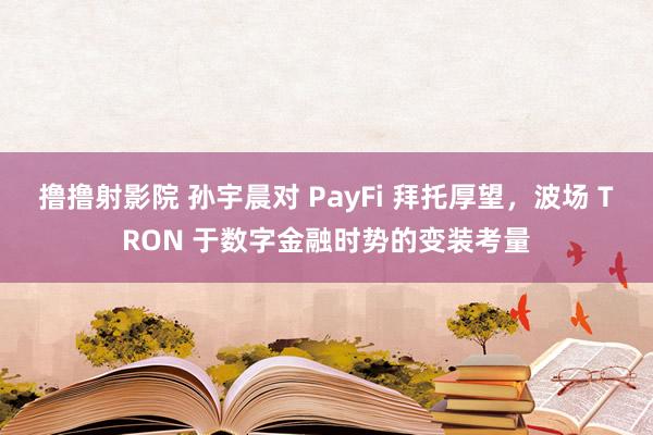 撸撸射影院 孙宇晨对 PayFi 拜托厚望，波场 TRON 于数字金融时势的变装考量