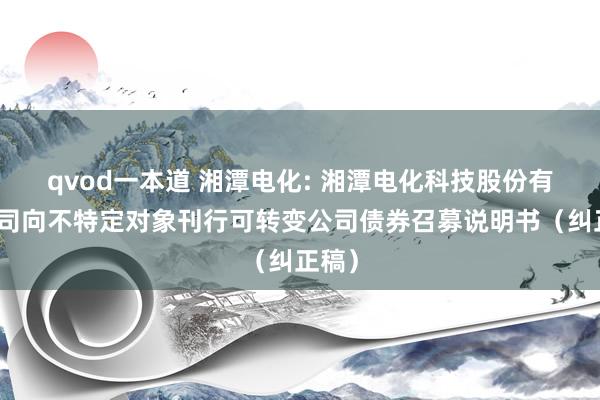 qvod一本道 湘潭电化: 湘潭电化科技股份有限公司向不特定对象刊行可转变公司债券召募说明书(纠正稿)