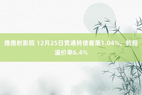 撸撸射影院 12月25日贯通转债着落1.04%，转股溢价率6.4%