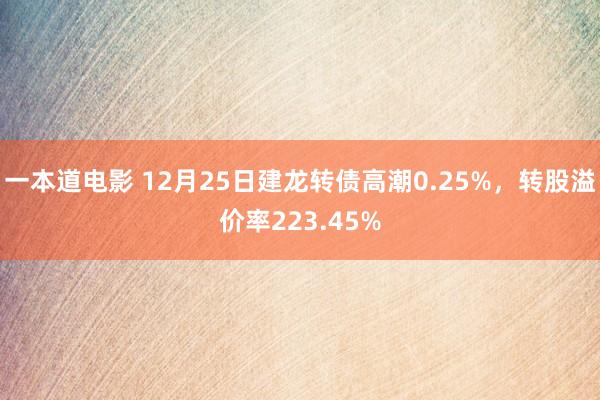 一本道电影 12月25日建龙转债高潮0.25%，转股溢价率223.45%