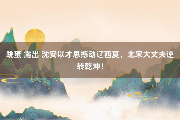 跳蛋 露出 沈安以才思撼动辽西夏，北宋大丈夫逆转乾坤！
