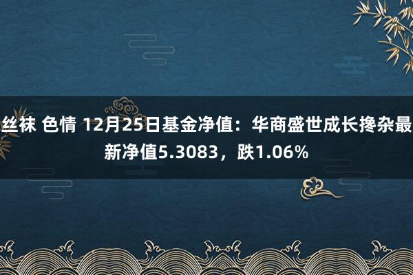 丝袜 色情 12月25日基金净值：华商盛世成长搀杂最新净值5.3083，跌1.06%