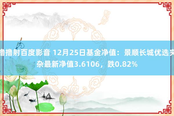 撸撸射百度影音 12月25日基金净值：景顺长城优选夹杂最新净值3.6106，跌0.82%
