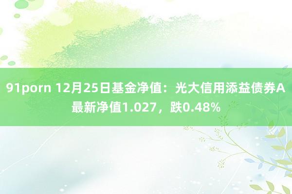 91porn 12月25日基金净值：光大信用添益债券A最新净值1.027，跌0.48%