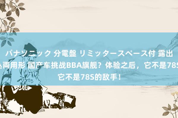 パナソニック 分電盤 リミッタースペース付 露出・半埋込両用形 国产车挑战BBA旗舰？体验之后，它不是78S的敌手！