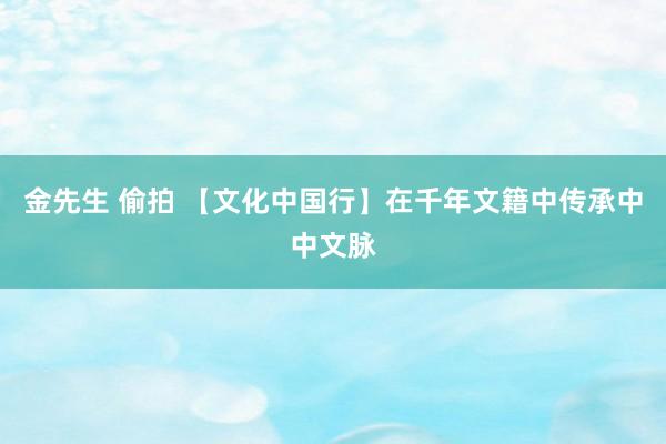 金先生 偷拍 【文化中国行】在千年文籍中传承中中文脉
