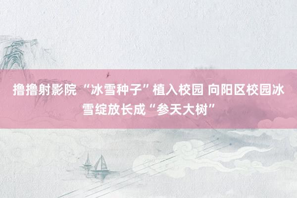 撸撸射影院 “冰雪种子”植入校园 向阳区校园冰雪绽放长成“参天大树”