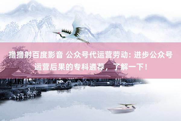 撸撸射百度影音 公众号代运营劳动: 进步公众号运营后果的专科遴荐，了解一下！