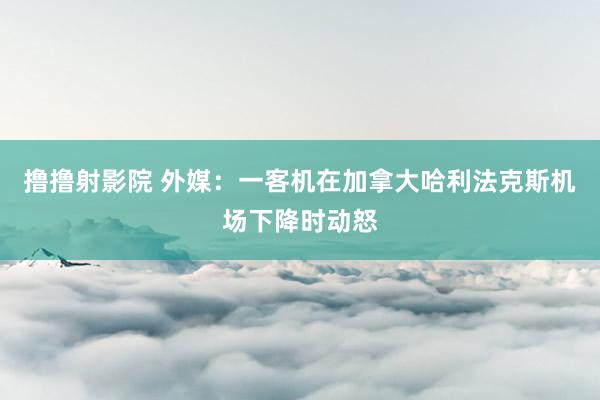 撸撸射影院 外媒：一客机在加拿大哈利法克斯机场下降时动怒