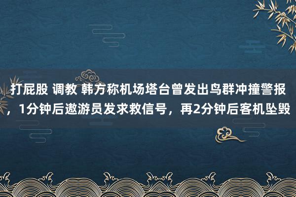打屁股 调教 韩方称机场塔台曾发出鸟群冲撞警报，1分钟后遨游员发求救信号，再2分钟后客机坠毁
