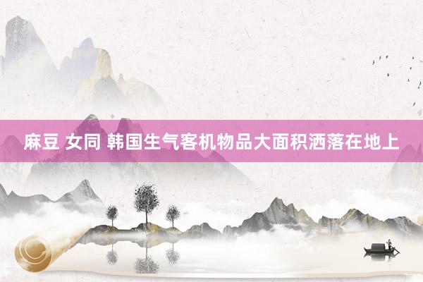 麻豆 女同 韩国生气客机物品大面积洒落在地上