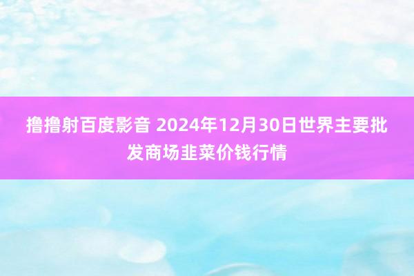 撸撸射百度影音 2024年12月30日世界主要批发商场韭菜价钱行情