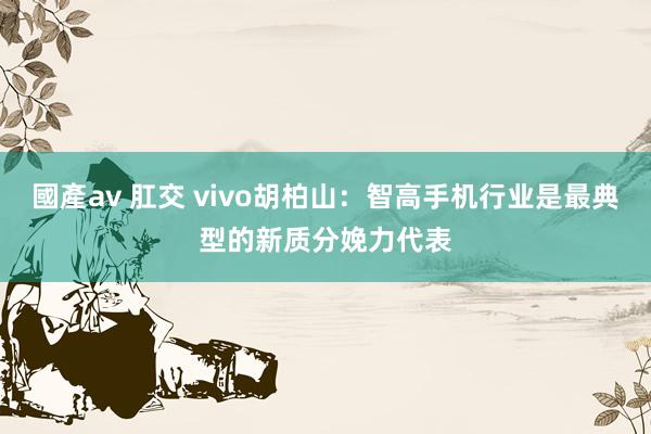 國產av 肛交 vivo胡柏山：智高手机行业是最典型的新质分娩力代表