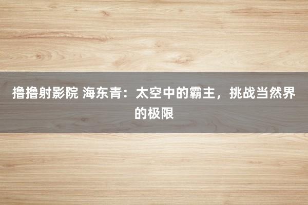 撸撸射影院 海东青：太空中的霸主，挑战当然界的极限
