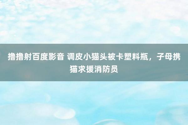 撸撸射百度影音 调皮小猫头被卡塑料瓶，子母携猫求援消防员