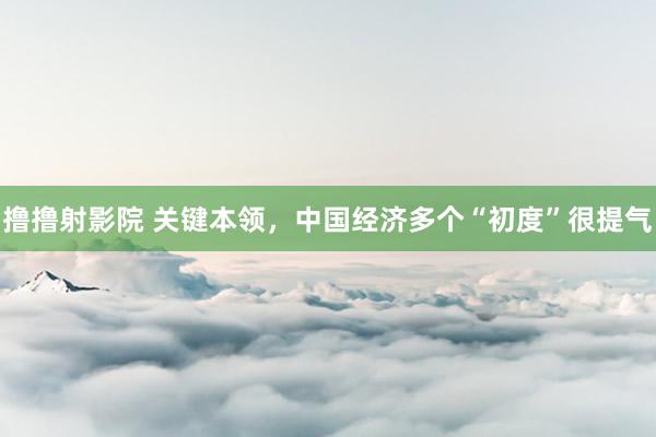 撸撸射影院 关键本领，中国经济多个“初度”很提气