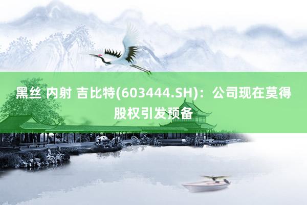 黑丝 内射 吉比特(603444.SH)：公司现在莫得股权引发预备