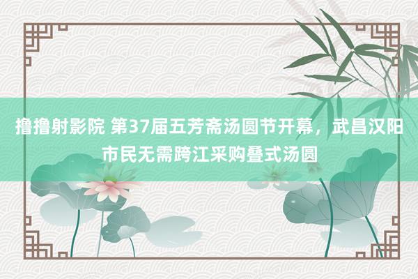 撸撸射影院 第37届五芳斋汤圆节开幕，武昌汉阳市民无需跨江采购叠式汤圆