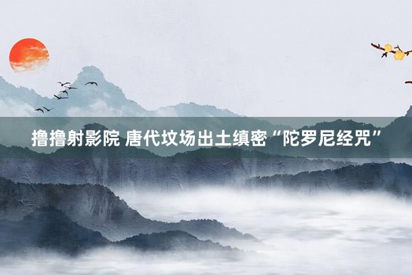 撸撸射影院 唐代坟场出土缜密“陀罗尼经咒”
