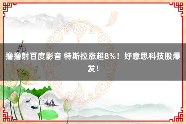 撸撸射百度影音 特斯拉涨超8%！好意思科技股爆发！