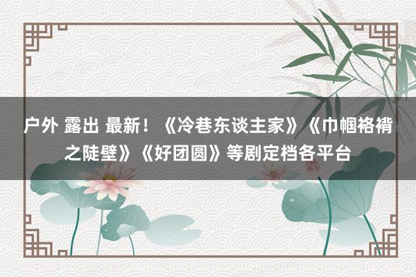 户外 露出 最新！《冷巷东谈主家》《巾帼袼褙之陡壁》《好团圆》等剧定档各平台