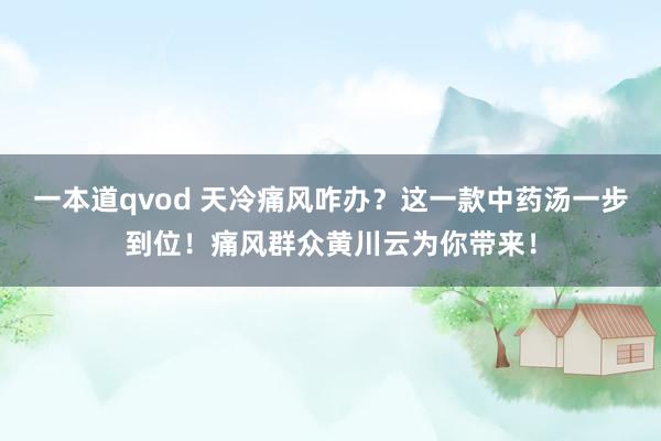 一本道qvod 天冷痛风咋办？这一款中药汤一步到位！痛风群众黄川云为你带来！