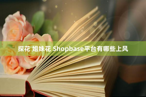 探花 姐妹花 Shopbase平台有哪些上风
